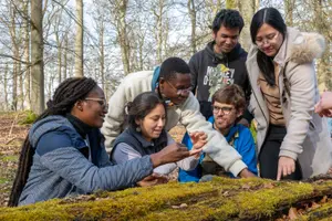 Frankfurt Spring School 2